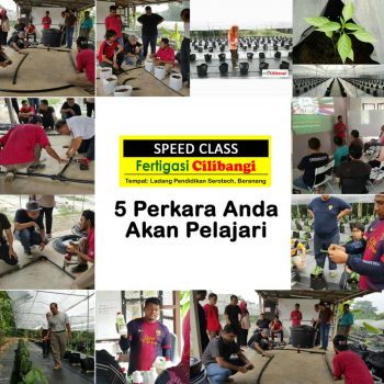 Speed Class Fertigasi Cilibangi