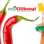 cilibangi