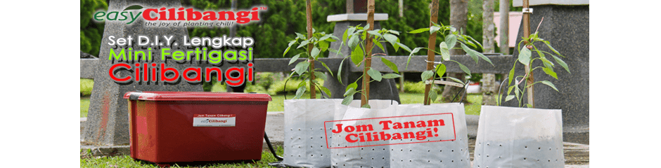 Mini Fertigasi Cilibangi