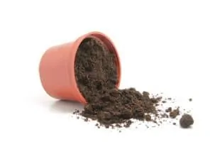 Peat-Moss