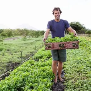 Jack Johnson dan sayuran organik. Foto: Bonappetit