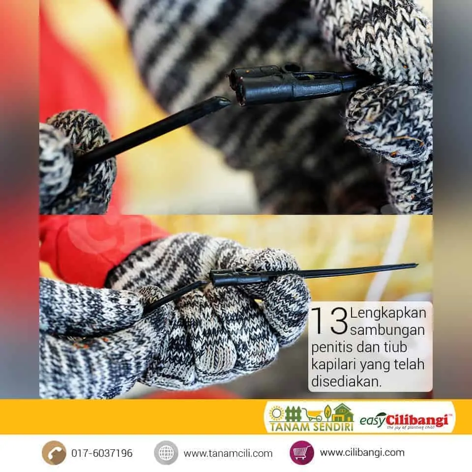 Mini Fertigasi Cilibangi 13