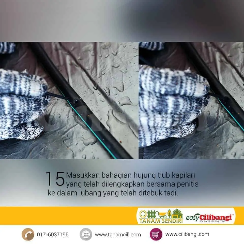 Mini Fertigasi Cilibangi 15