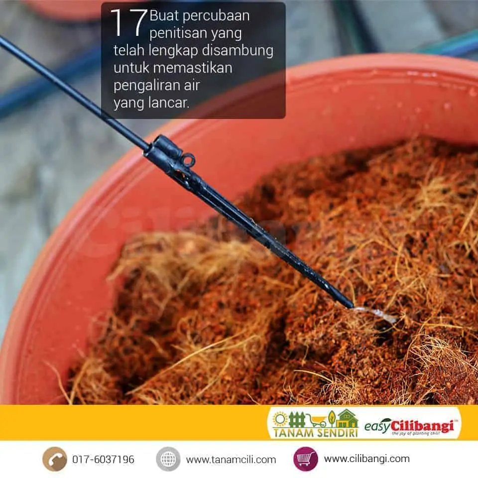 Mini Fertigasi Cilibangi 17