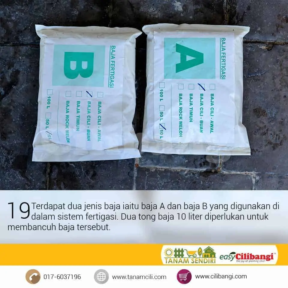 Mini Fertigasi Cilibangi 19