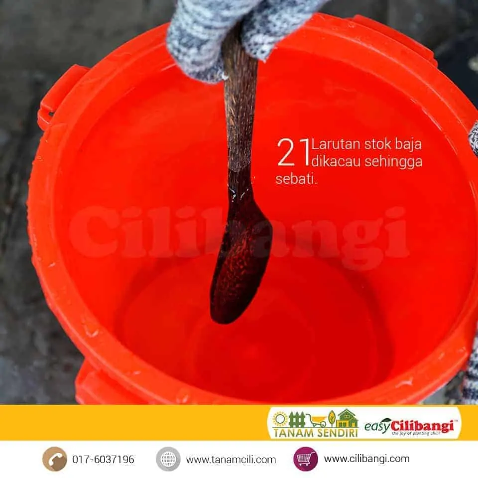 Mini Fertigasi Cilibangi 21