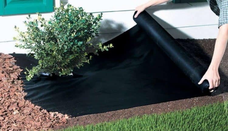 13613569_1123229577749340_9203977834787178921_o