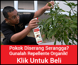 - Iklan -
