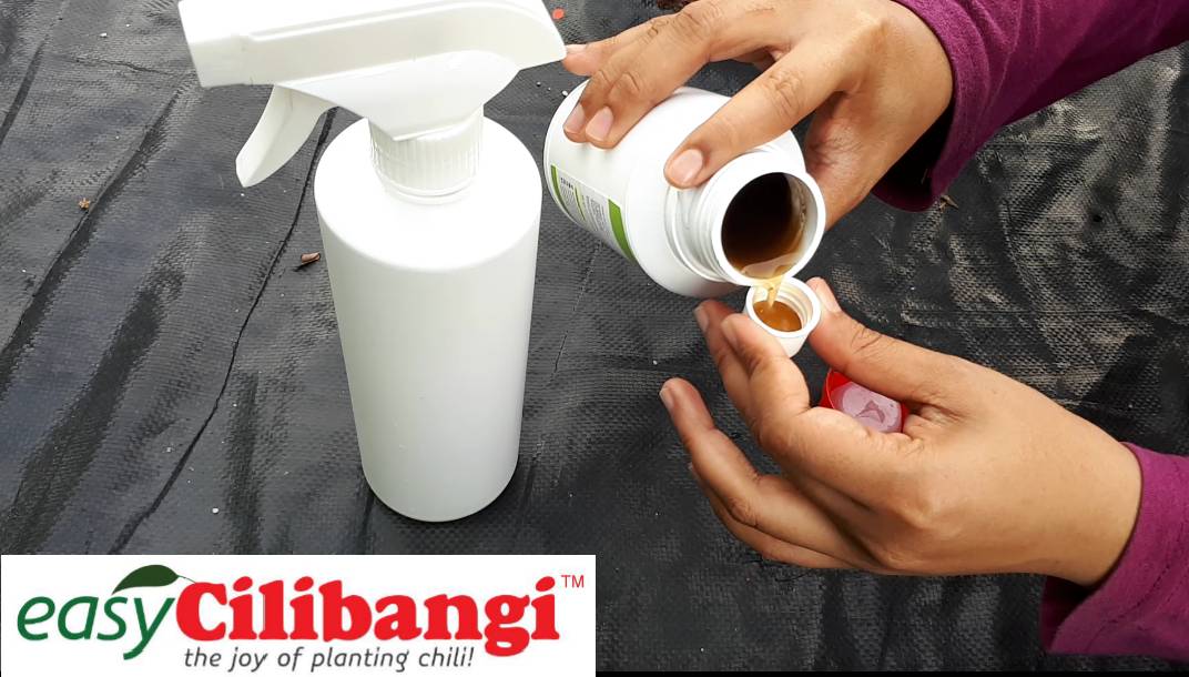 Bio-Booster Cilibangi
