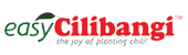 Blog Cilibangi